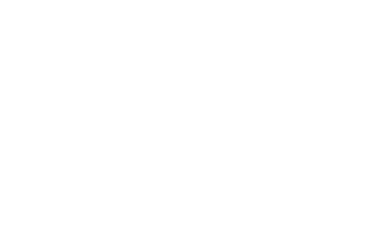 TokenAsset